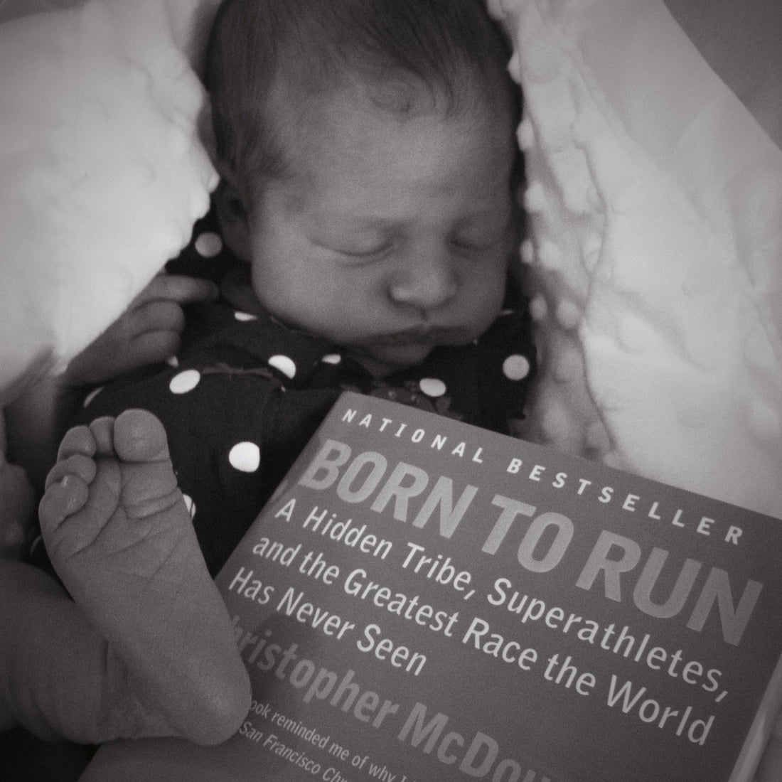 Born to Read - 6 Great Books for Runners