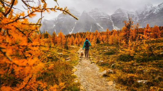 Choosing the Right Hiking or Backpacking Socks