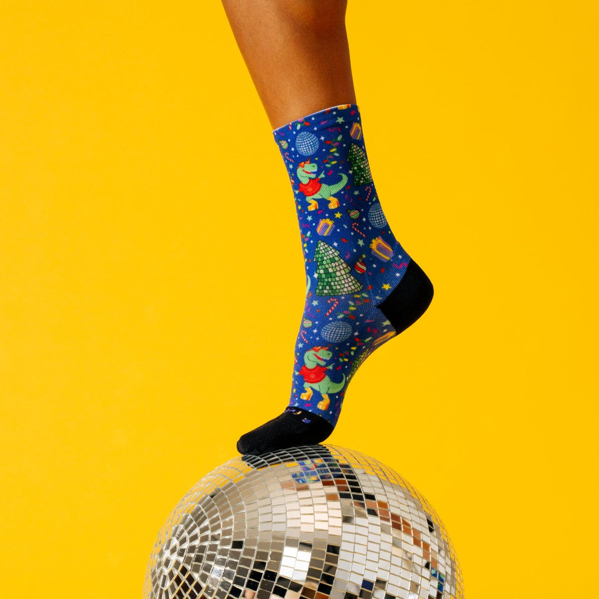 Disco Rex